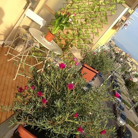 Leucosia Salerno