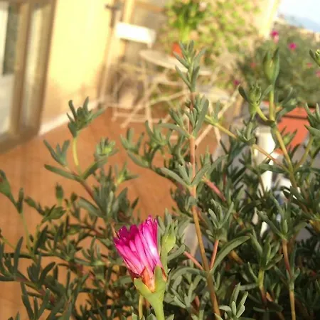 Apartamento Leucosia Salerno
